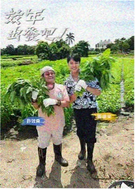 一起露营吧 综艺海报